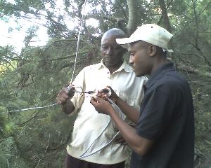 29-11-11_1653.jpg (18957 bytes)