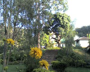 30-11-11_0728.jpg (25003 bytes)