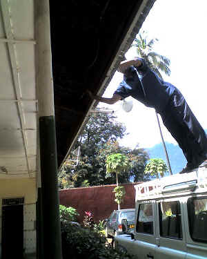 20-06-12_1211.jpg (54242 Byte)