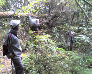 21-06-12_0935.jpg (80181 Byte)