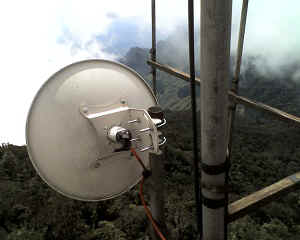 21-06-12_1205.jpg (49265 Byte)