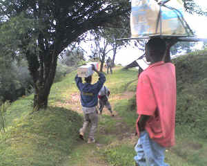 21-06-12_1423.jpg (65771 Byte)