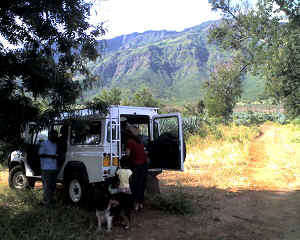 22-06-12_1531.jpg (69810 Byte)