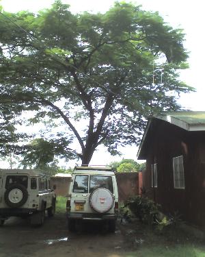 12-03-12_1457.jpg (29051 bytes)