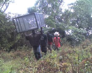 15-03-12_1027.jpg (23938 bytes)