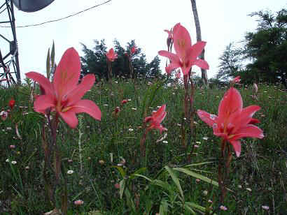 Moro14.JPG (21001 Byte)