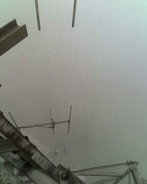 08-09-11_1326.jpg (23378 Byte)