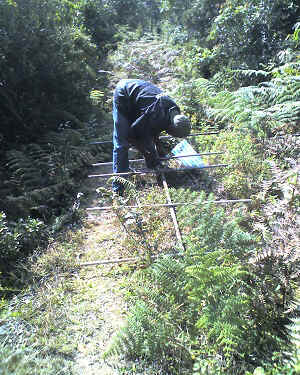 08-09-11_1526.jpg (97572 Byte)