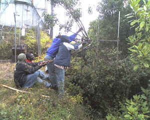 08-09-11_1626.jpg (73446 Byte)