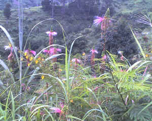 22-03-16_0815.jpg (76180 Byte)