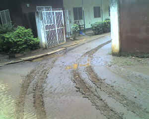 23-03-16_1346.jpg (57600 Byte)