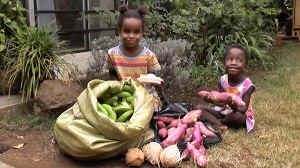 20130126_141159.jpg (41898 Byte)