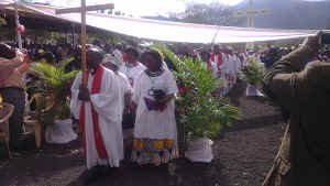 IMAG0218.jpg (34387 bytes)