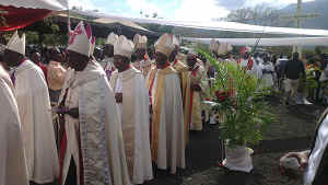 IMAG0232.jpg (37270 bytes)