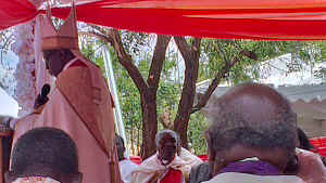 IMAG0263.jpg (42648 bytes)