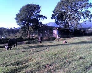 02-11-11_0715.jpg (73158 Byte)