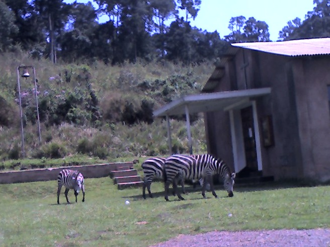 02-11-11_1408.jpg (120471 Byte)