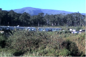 02-11-11_1409.jpg (33614 Byte)