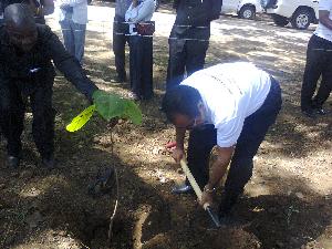 Photo0150.jpg (20616 bytes)