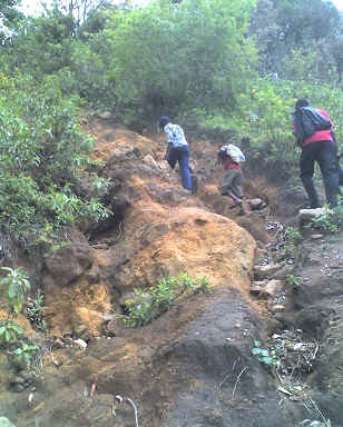 v10.jpg (83049 Byte)