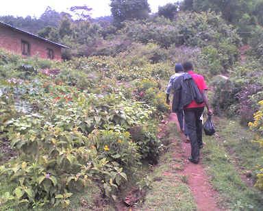 v5.jpg (106195 Byte)