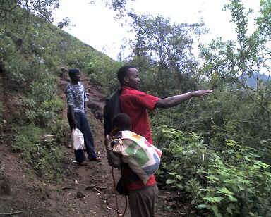 v6.jpg (101576 Byte)