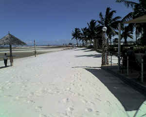 06-12-12_1453.jpg (48646 Byte)