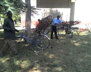 14-07-12_1154.jpg (64945 bytes)