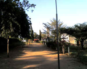 16-10-12_1642.jpg (40486 Byte)