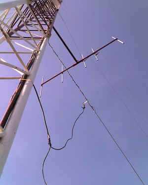 26-10-12_1559.jpg (37082 Byte)