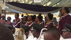 WP_20170115_11_03_54_Pro.jpg (91318 bytes)