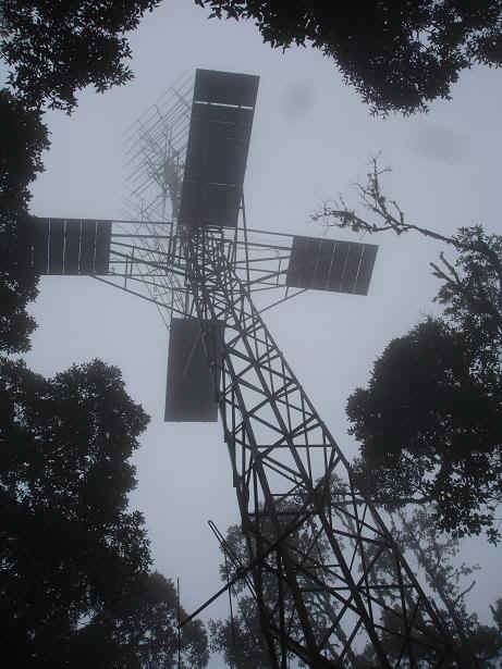 Kidia1.JPG (74658 Byte)