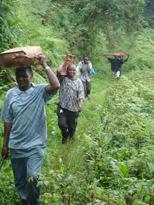 Kidia2.JPG (62407 Byte)