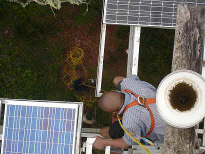 Kidia4.JPG (48606 Byte)