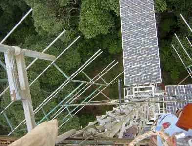 Kidia4.jpg (21153 bytes)