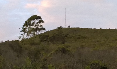 plot.jpg (31785 bytes)