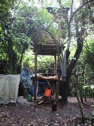 Kidia9.JPG (42128 Byte)