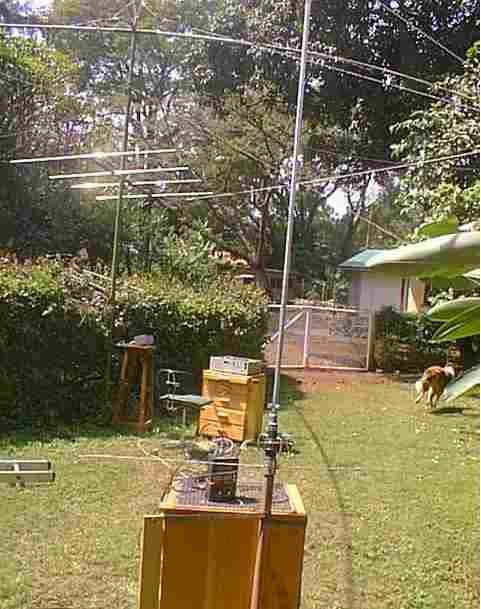 Ant_test.jpg (29041 bytes)