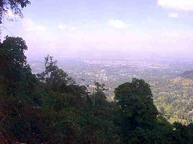 wpeD.jpg (28533 bytes)