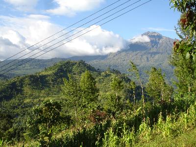 Kivesi10.jpg (38771 Byte)