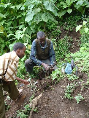 Kivesi4.jpg (47687 Byte)