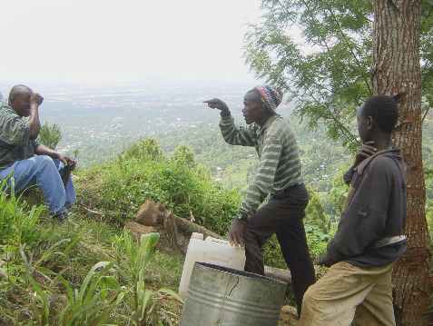 Kivesitower 8.jpg (23992 bytes)