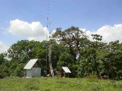 Kivesimast15.jpg (19345 bytes)