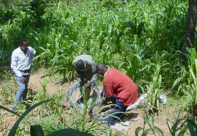 Kivesimast7.jpg (25660 bytes)