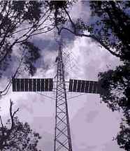 Kidia1.jpg (7906 bytes)