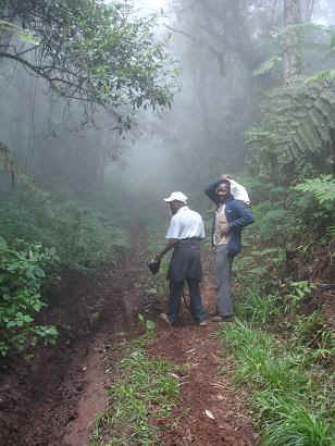 Battery_4.JPG (17919 Byte)