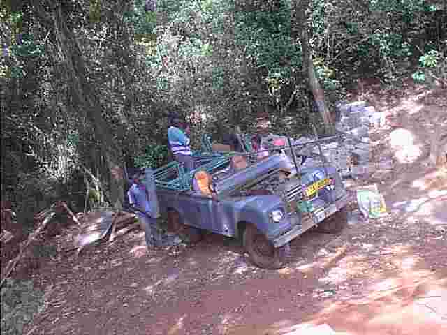 Ant2.jpg (75315 bytes)