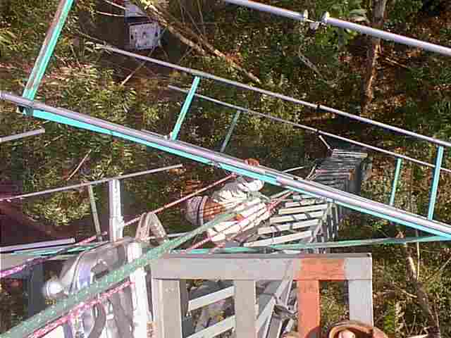 Ant4.jpg (75065 bytes)