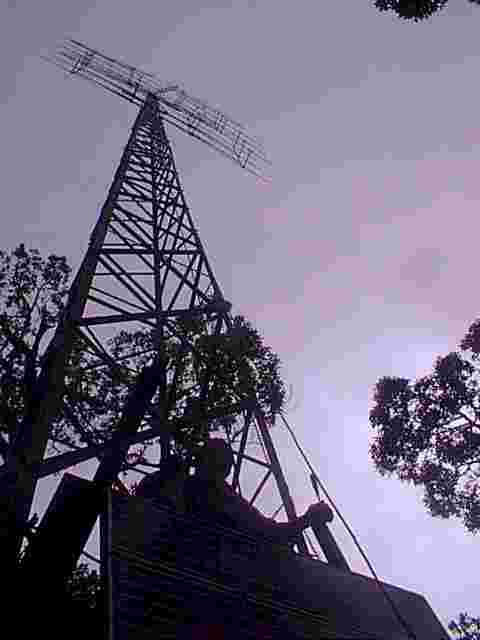 Ant6.jpg (49970 bytes)