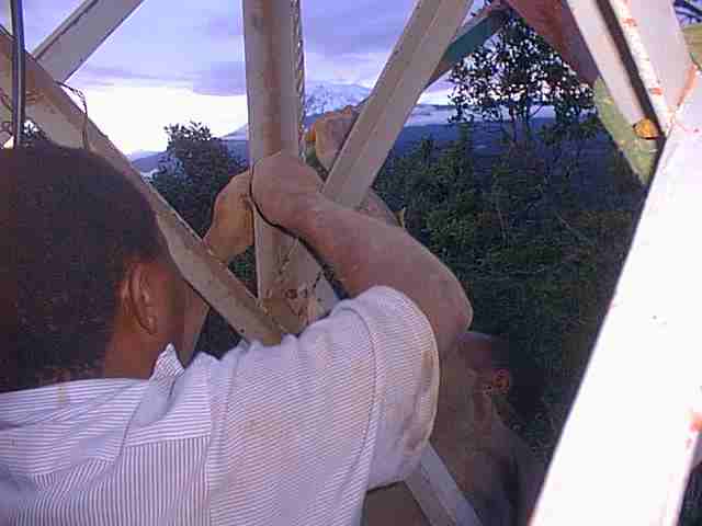 Sol8.jpg (76620 bytes)